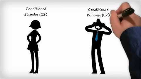 Classical and Operant Conditioning