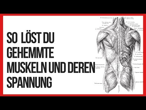 Video: Warum Muskeln Verhärten