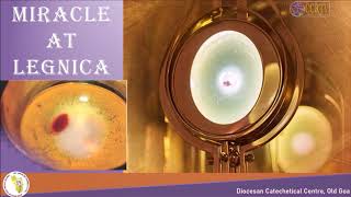 Catechism for CONFIRMATION BOOK 7, LESSON 13, AGE 14 - DCC