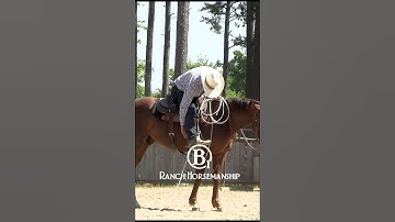 How To Prep a Horse To Pull a Log