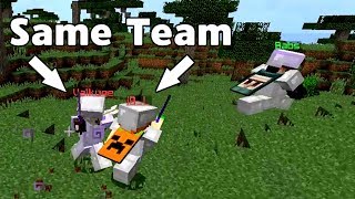 Worst Hacks Ever @Palikka