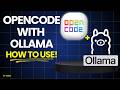 How To Use Opencode With Ollama: Step-By-Step Tutorial For Developers!