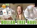 DOLLAR TREE HAUL|HUGE|NEW ITEMS|BRAND NAME AMAZING FINDS