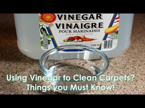 Using Vinegar to Clean Carpets? Things you Must Know!