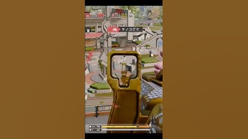 24 kills with SMRS #codm #codmobilegameplay #codmobile #codmbr #smrs #codmbrshorts