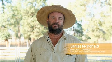 CWFS Resilient Pastures On-Farm Demonstration Trial