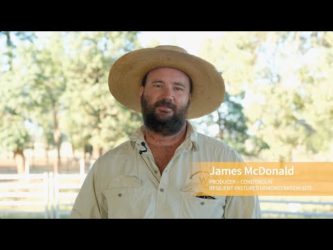 CWFS Resilient Pastures On-Farm Demonstration Trial