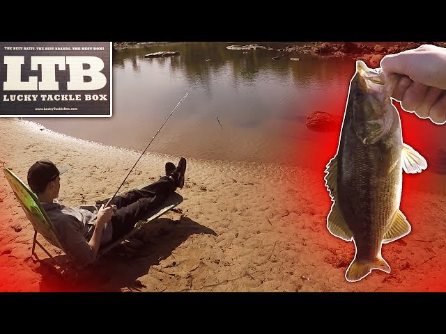 Lucky Tackle Box: RANDY'S BASS BUFFET RIG! (Bass Fishing) - Vlog