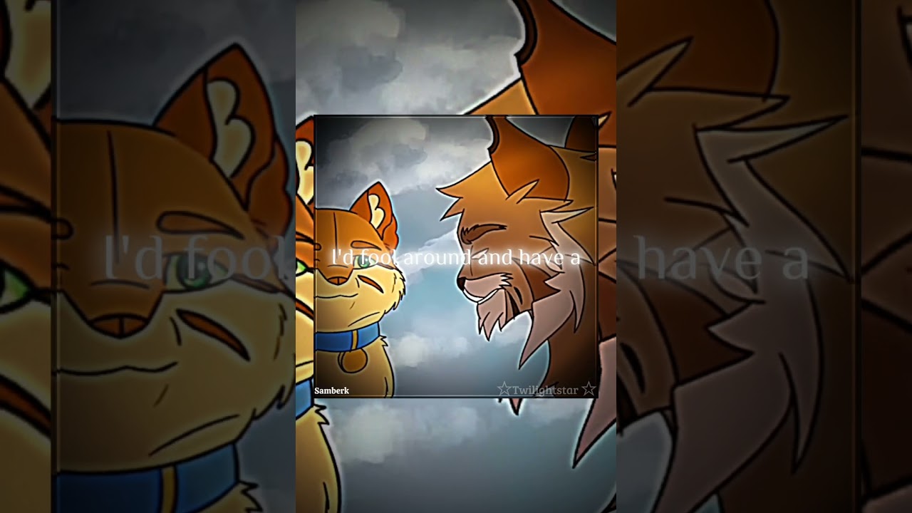 Kittypet, kittypet, kittypet. 