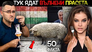 50 facts about HUNGARY, after which you WILL NOT EAT PORK