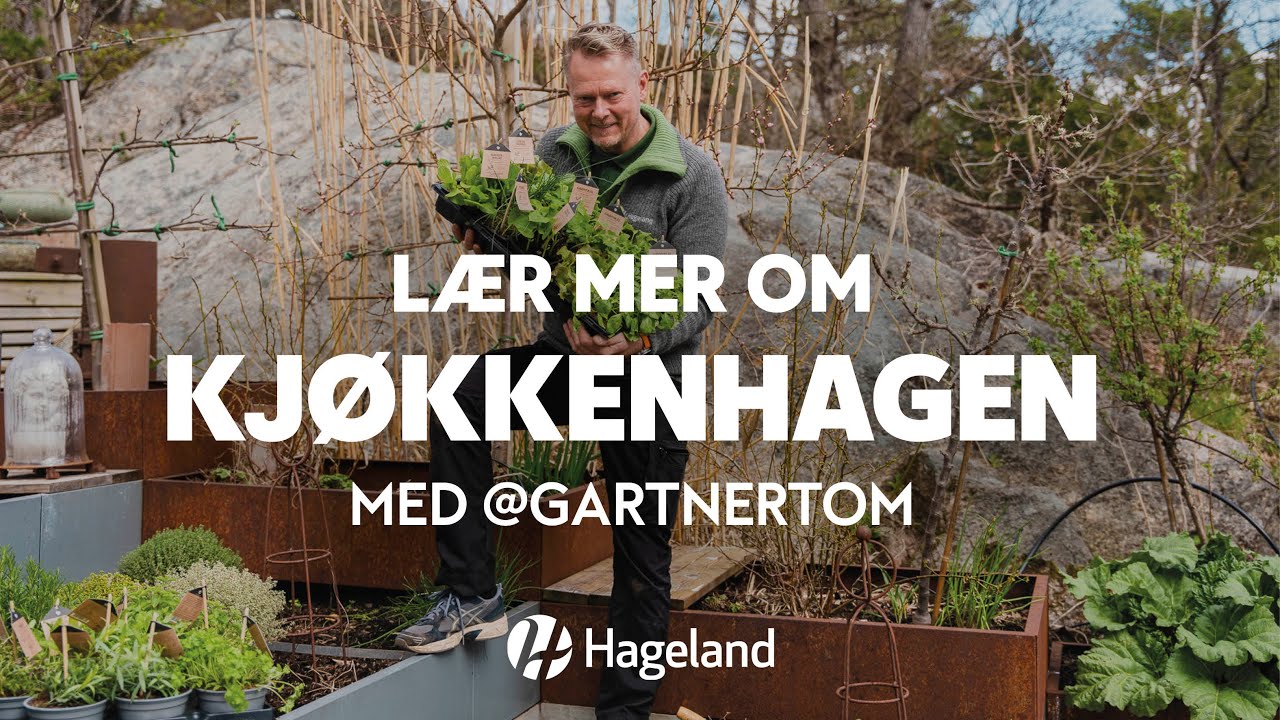 Lær mer om kjøkkenhage
