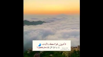 حالات واتس اب دينيه (الشيخ ياسر الدوسري من تيسر من سورة طه🧡🌈🌟