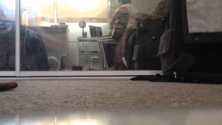 Download Lagu Kasih Putih - SNADA (cover) MP3