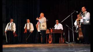 Petrica Moise - Poezie - Ii ruga iar si-i sarbatoare