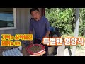 숫탉한테 시달려 기력이 쇠약해진 암탉을 위한 특별한 영양식//Special nutrition for hens who have weakened due to roosters