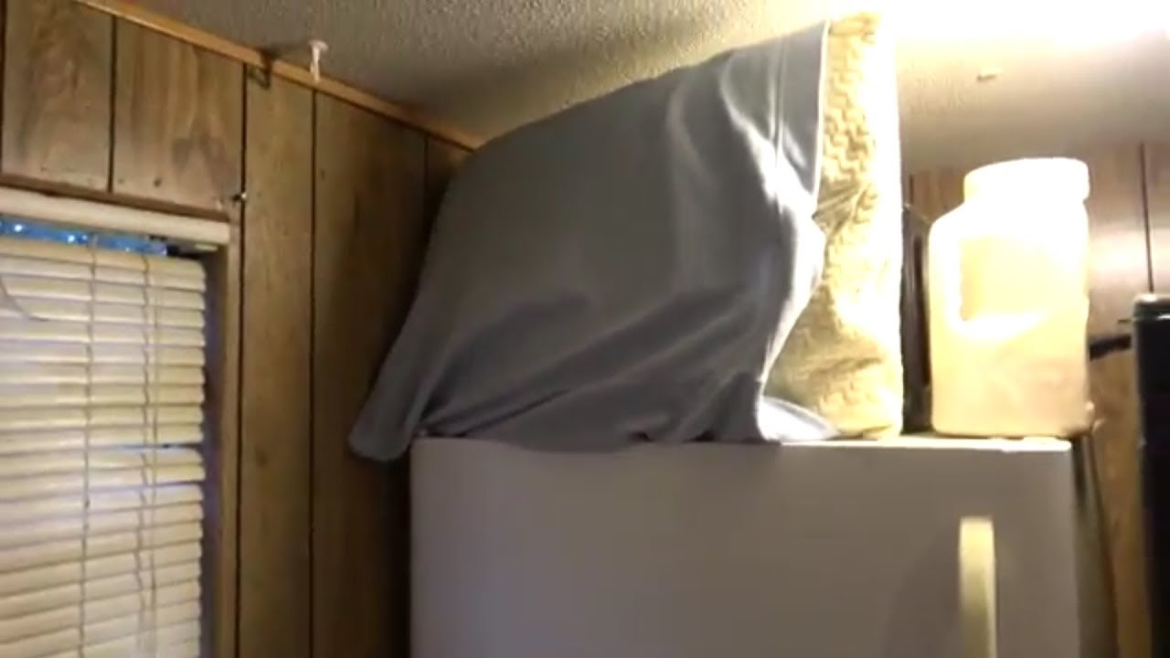 Put A Pillow On Yoir Fridge Day! (Day 1247 5/29/2018) YouTube