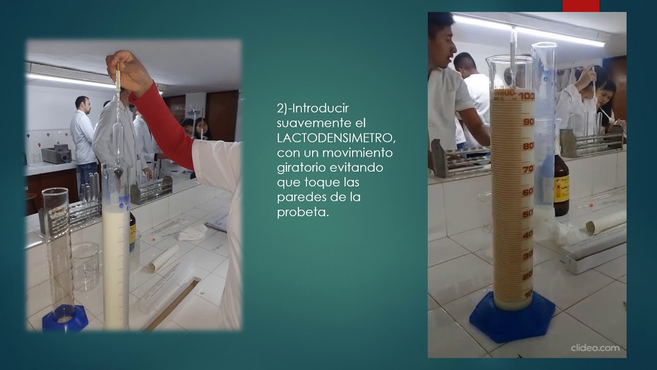 Determinación de densidad y prueba de alcohol en leche - YouTube