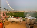 ذبيحتين محمره مرقوق وجريش في بيت الشعر الابيض عند ابوحزام سناب الهواوي Aan1403 