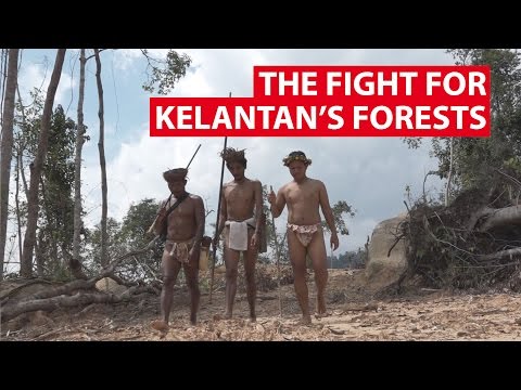 The Fight for Kelantan’s Forests | Get Real