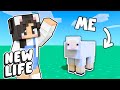 💜Minecraft BUT I&#39;M A SHEEP! New Life SMP #5