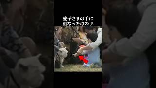 犬に手を伸ばした一歳四カ月の愛子さま、雅子さまがとった行動 #愛子さま #雅子皇后 #皇室