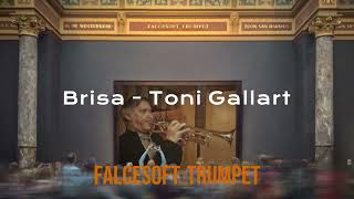 Brisa  Toni Gallart  -  falcesoft trumpet