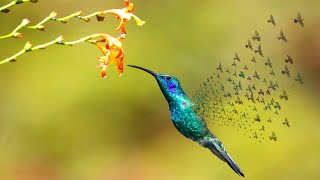 Photoshop 101 Dispersion Effect