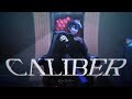 キャリバー / ばぁう(cover.)