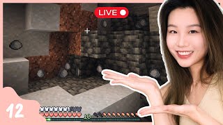 First Minecraft Playthrough - Day 12! [Ep. 12]