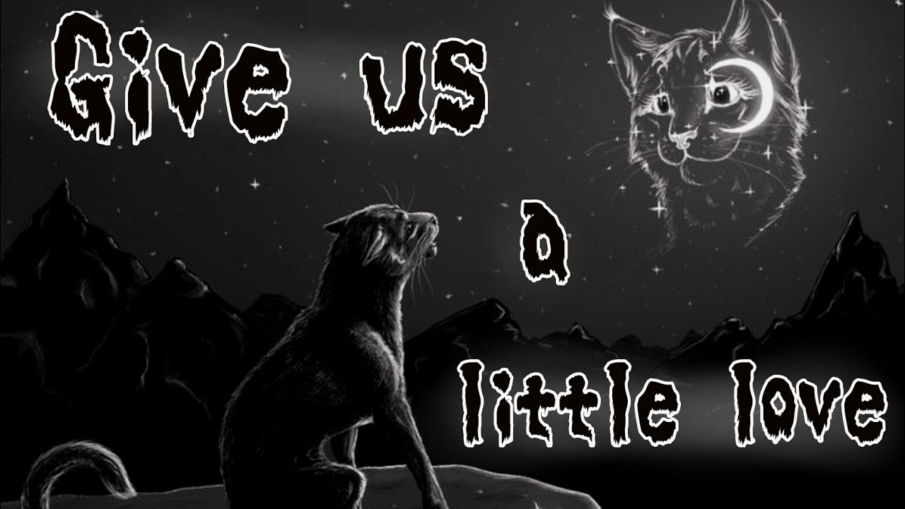 Give us a little love - Dark Forest | Warrior Cats Feuerstern