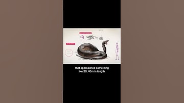 Is this the biggest snake that ever lived? #animals #dinosaur #biology #history