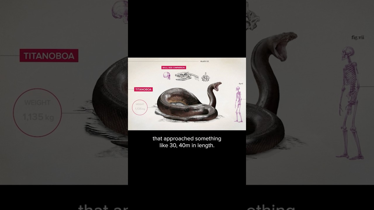 Is this the biggest snake that ever lived? 