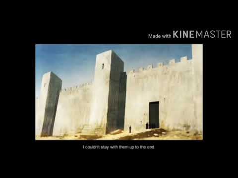 قاشا لايف #_للغباء_حدود