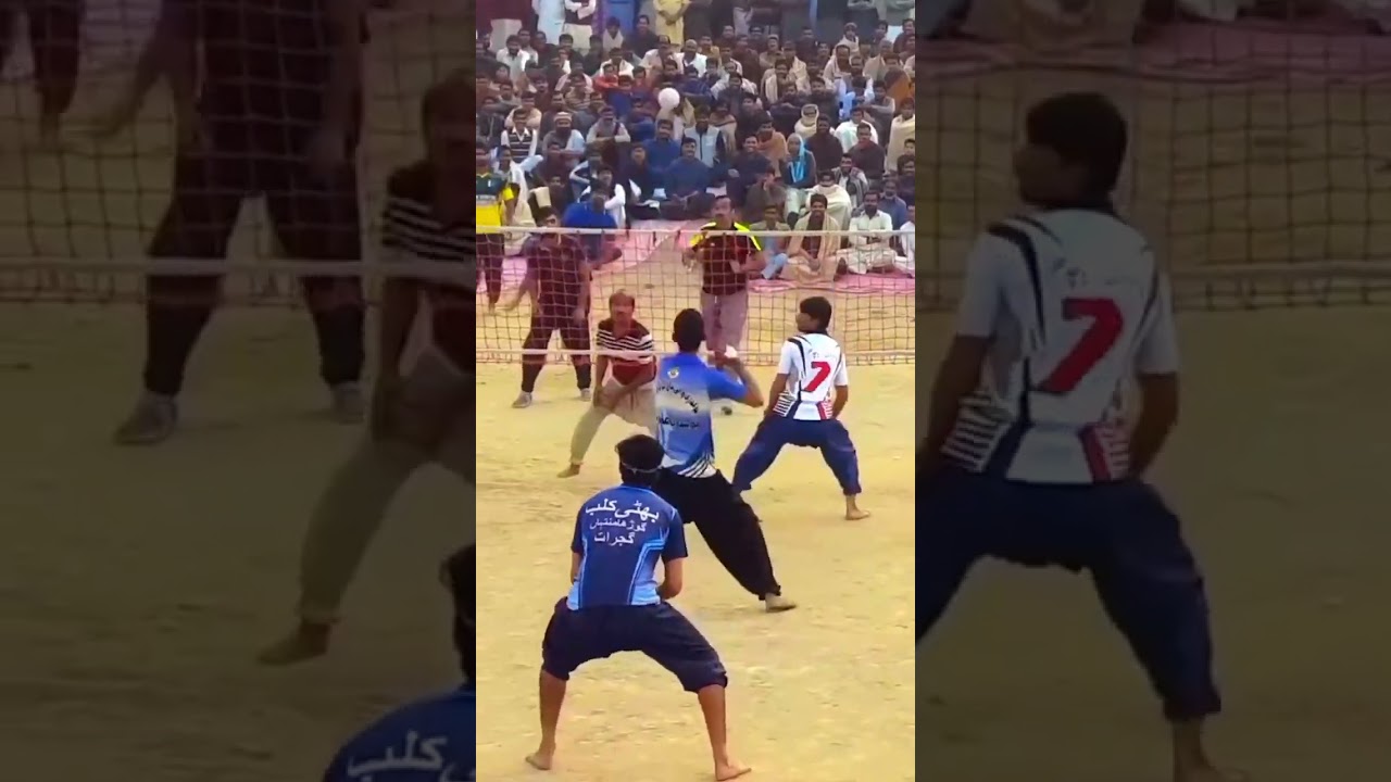 Saleem Raza Bhidwal  shahzada player