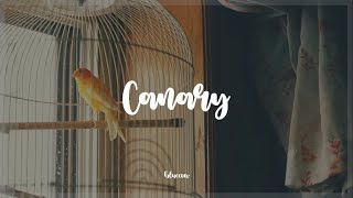 In No Hurry; Canary (Sub Esp)