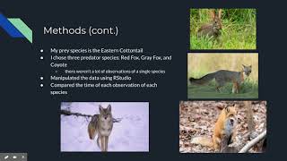 Lightning Talk Presentation