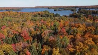Algonquin National Park Canada - Ontario Wildlife Adventure