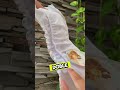 🔥4x3 en PAÑALES ECOLÓGICOS