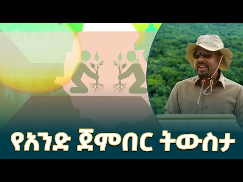 የነገ ፍሬ የአንድ ጀምበር አረንጓዴ ዓሻራ ትውስታ ነሃሴ 2016 Green Legacy