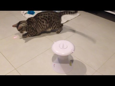 leopold-discovers-:-frolicat-dart-duo-laser-automatic-cat-toy