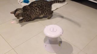 Leopold Discovers : Frolicat DART DUO Laser Automatic Cat Toy