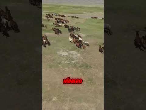 Cavalos trazem a vida de volta ao deserto!