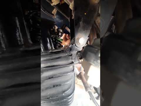 تفيلس بوكسر