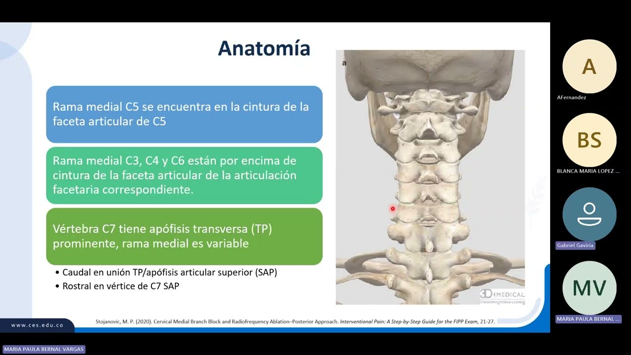 Seminario Bloqueo de ramos medios cervical y técnica de radiofrecuencia