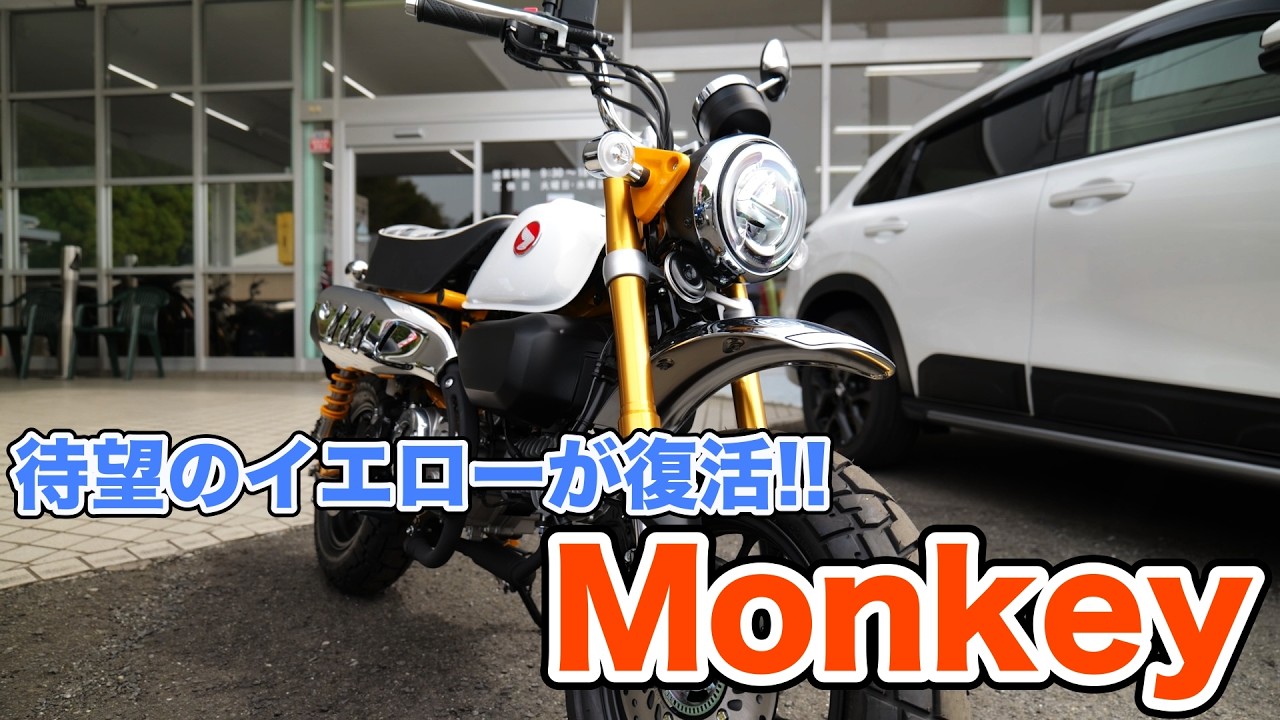 Yellow is back for the Monkey!! Will the overseas version be