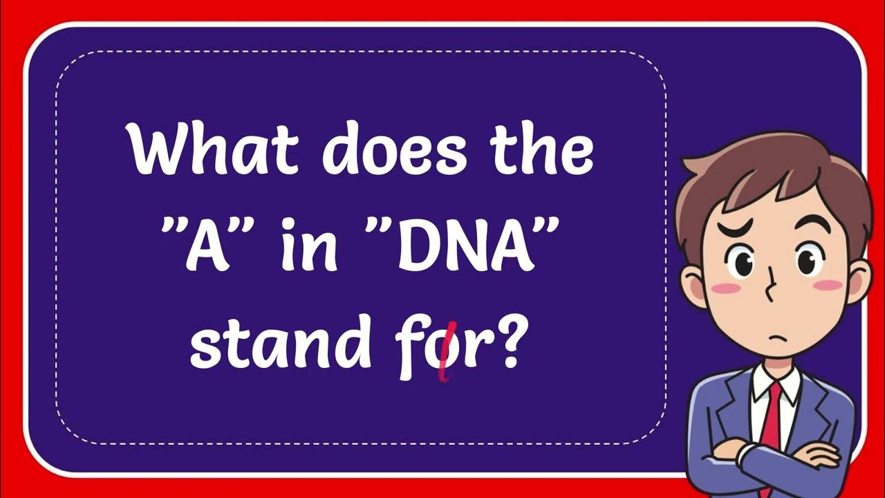 What does the "A" in "DNA" stand for? Answer YouTube