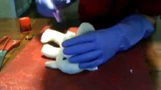 Teddys Heart Transplant