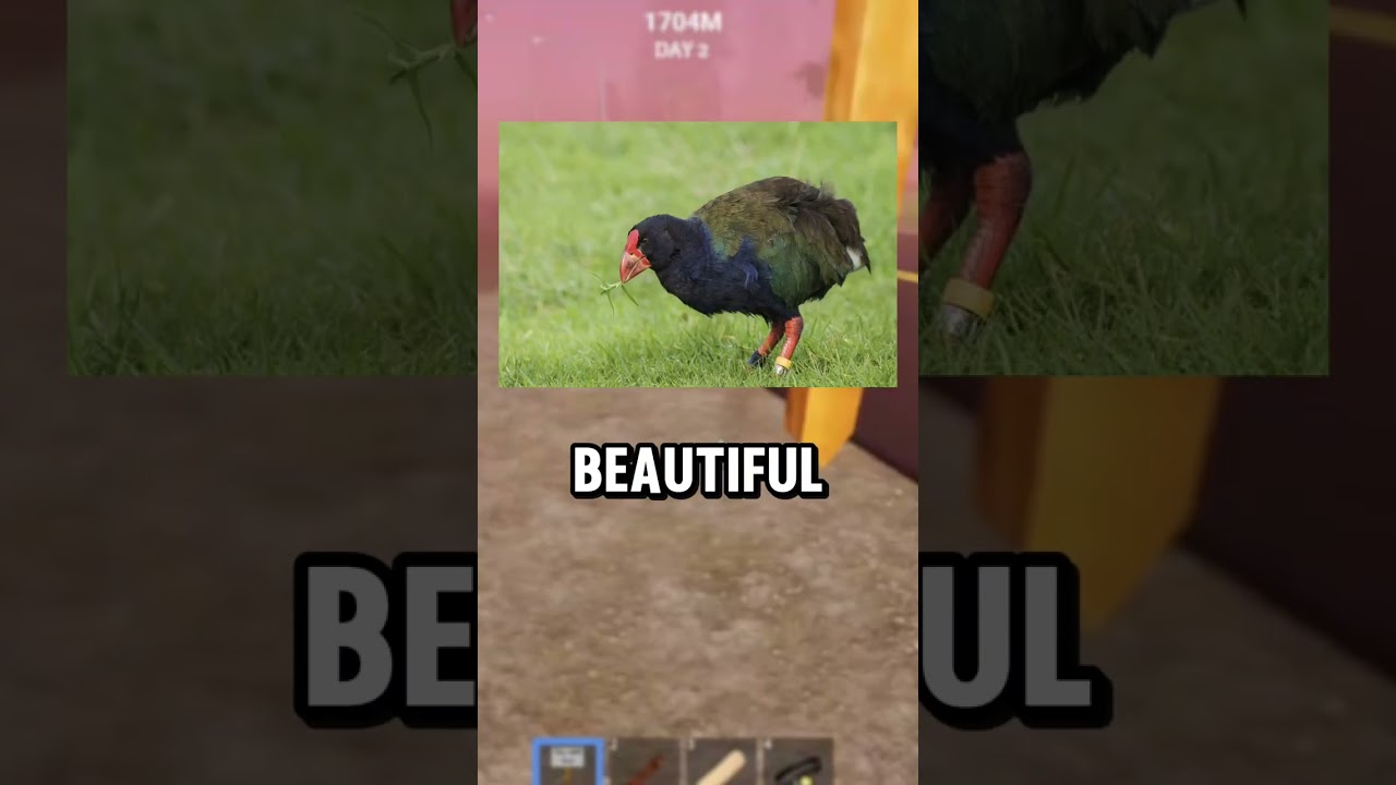 Extinct Animals That Were Rediscovered