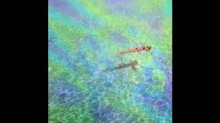 Boys Age - Forbidden Summer (Alternative)