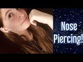 I got my nose pierced! (And other piercings)